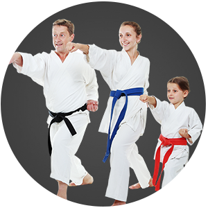 Martial Arts Han Lee's Taekwondo Academy  