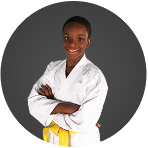 Martial Arts Han Lee's Taekwondo Academy  